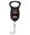 Picture of Digital Fish Scale 50 lb