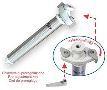 Immagine di Palo Snodato Inox