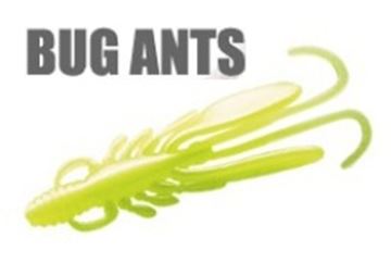 Picture of Bug Ants 2''