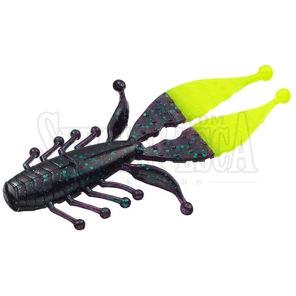 Picture of Kicker Bug