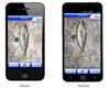 Bild von Waterproof Smartphone Case + Fish Size Measurement -60% OFF
