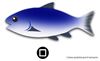 Immagine di Waterproof Smartphone Case + Fish Size Measurement -60% OFF