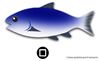 Bild von Waterproof Smartphone Case + Fish Size Measurement -60% OFF