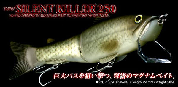 Immagine di New Silent Killer 250