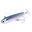 Bild von Power Tail Saltwater