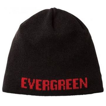 Picture of Knit Cap Type 3