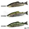 Picture of Realis Onimasu 188F