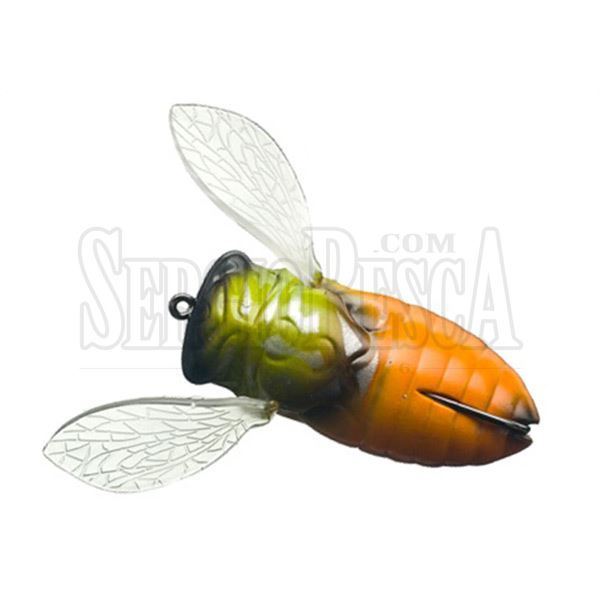 Bild von Cover Cicada Big