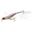 Immagine di Premium Crystal 3D Shrimp