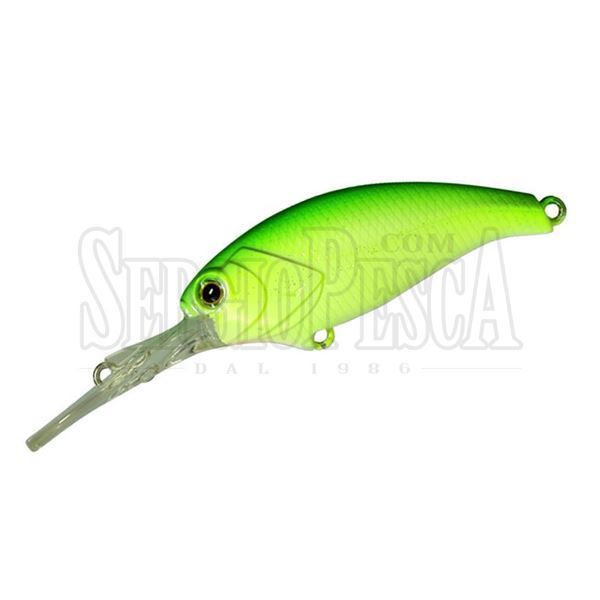 Picture of Evoke Shad