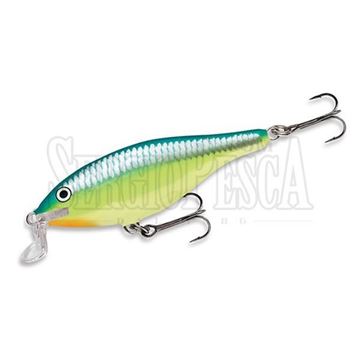Picture of Shallow Shad Rap
