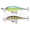 Picture of Shallow Shad Rap