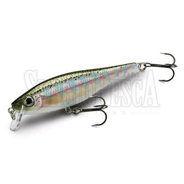 Picture of BX Minnow