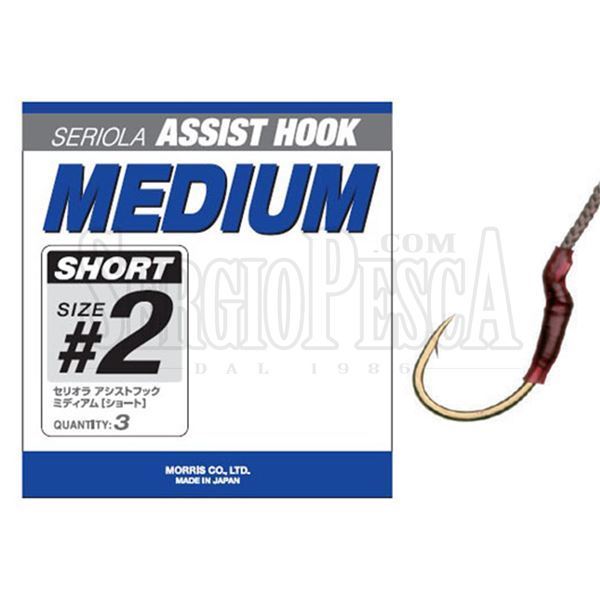 Immagine di Seriola Assist Hook Medium