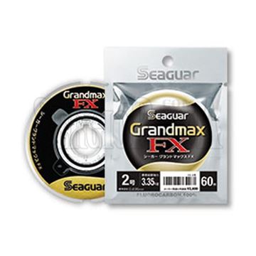 Picture of Grand Max FX