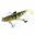 Bild von Shad 100 Swimbait