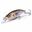 Picture of IxI Shad Type-R