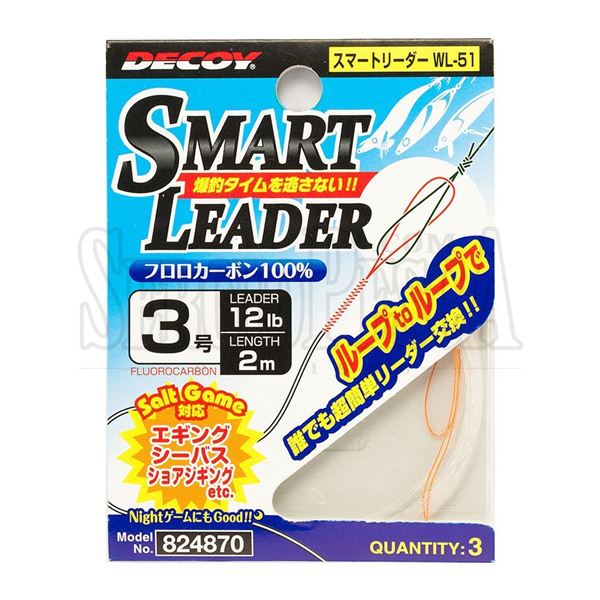 Immagine di Smart Leader WL-51