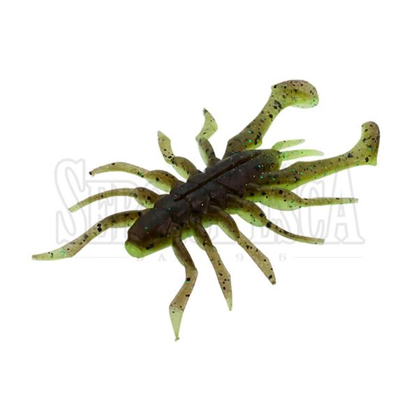 Picture of RV-Bug