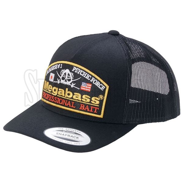 Immagine di Psychic Trucker