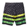 Picture of Sharkskin Green Dorado Boardshorts