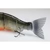 Immagine di Jointed Claw Ratchet 184 "Piranha Limited Edition"