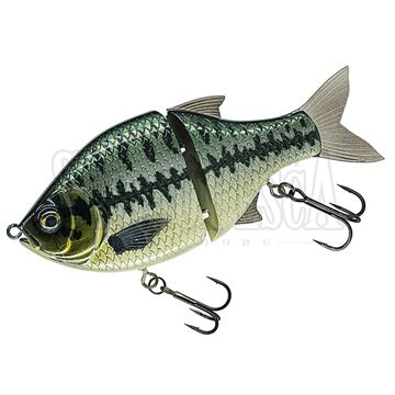 Swimbait - Sergio Pesca