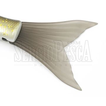 Immagine di New Highsider 172 Spare Tail