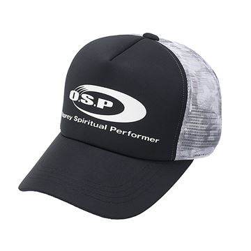 Picture of Logo Mesh Cap