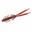 Bild von Dolive Shrimp