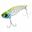 Bild von Canna 15