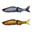 Bild von I-Slide 187R Intermediate "Dragon Fish" Special Color
