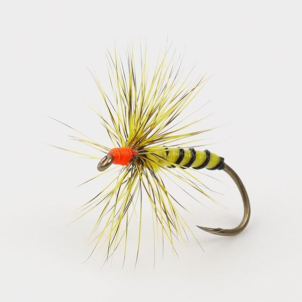 Bild von Futsu Attraction #10