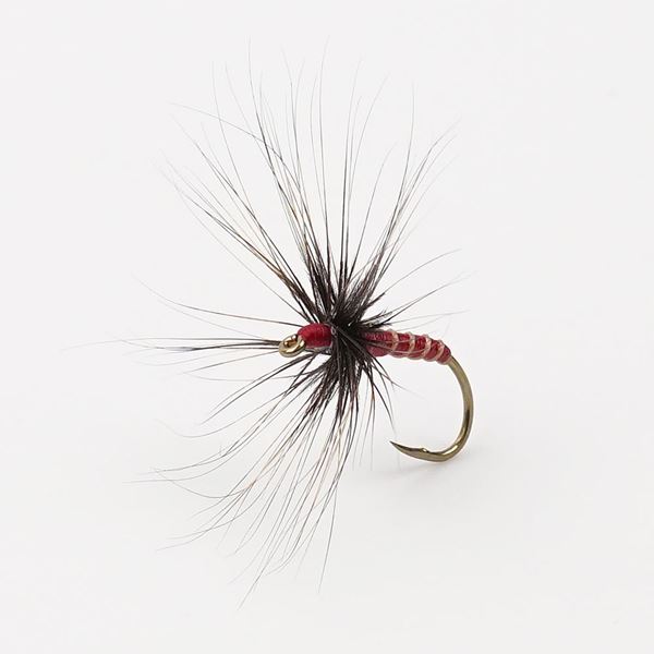 Bild von Futsu Big Spinner #8