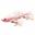 Immagine di Glide Bait 178 by Baroni Baits