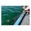 Immagine di Landing Net 72