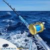 Immagine di HX30 Saltwater Trolling Reel