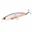 Immagine di Tide Minnow GHOST 170F