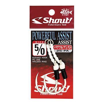 Immagine di Powerful Assist 25-PA