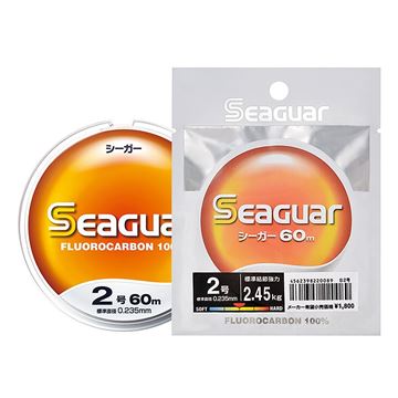 Picture of Seaguar 60