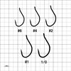 Immagine di Worm 334