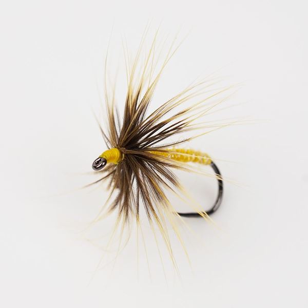 Immagine di Traditional Yellow #10