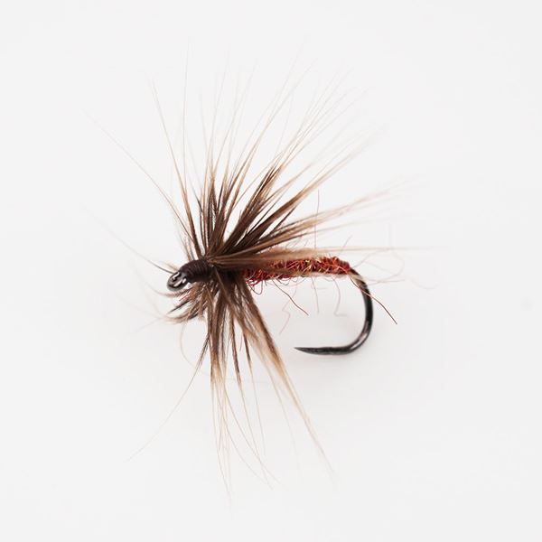 Immagine di Traditional Brown #12