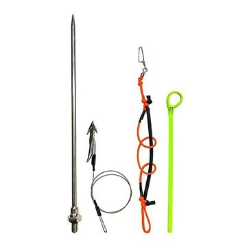 Immagine di Ken Throwing Harpoon