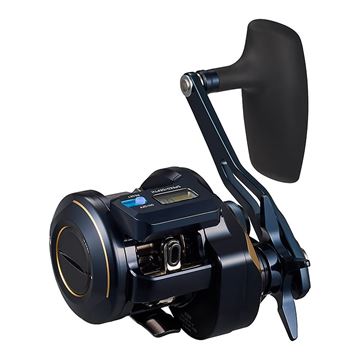 Immagine di Saltiga IC 300-C