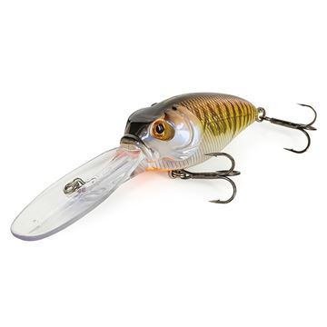 Immagine di Sculpo XD R