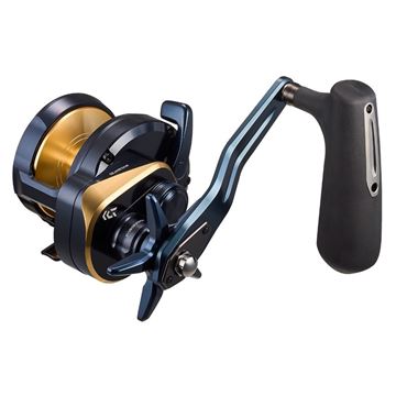 Immagine di Saltiga 35