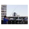 Immagine di BALBAL 85 "Technical Edition"