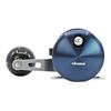 Immagine di Cavalla "Midnight Blue"