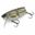 Immagine di Tiny Joker "Ribbit"